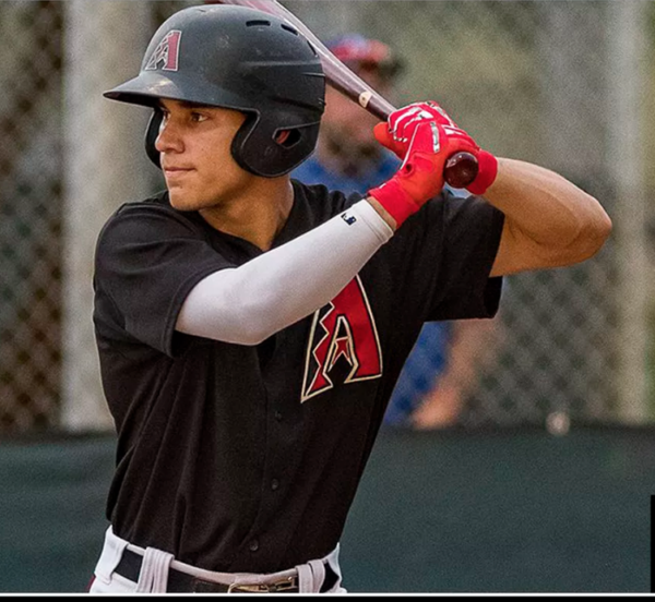 Down on the Farm An Interview with Arizona Diamondbacks Prospect Alek